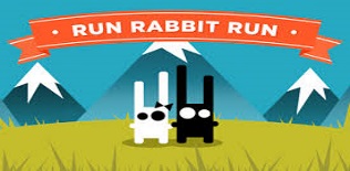 Rabbit Run Run