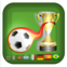 Vrai Football Manager National