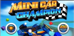Minicar Champion Circuit Race