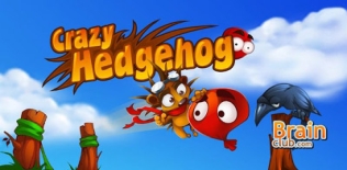 Fou Hedgehog