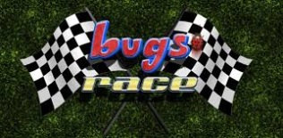 Bugs Race