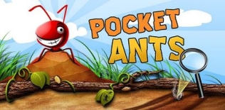 Les fourmis de poche