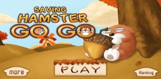 Enregistrement Hamster Go Go