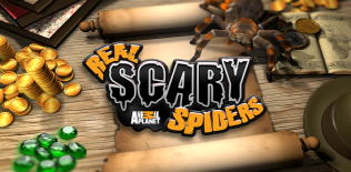 Araignées réel effrayants
