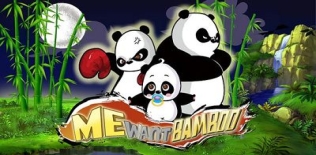MeWantBamboo - Maître Panda