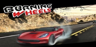 Brûler Roues Racing 3D