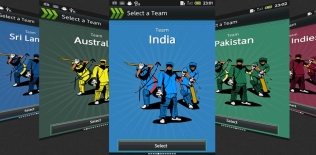 Hit Wicket Cricket World Cup