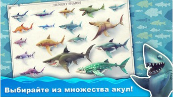 Hungry Shark mondiale