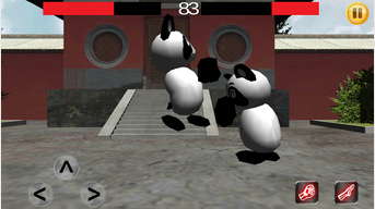 Panda combat