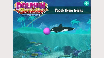 Paradis Dolphin. Amis sauvages