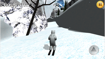 Polar Bear diaporama 3D