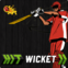 Hit Wicket Cricket World Cup